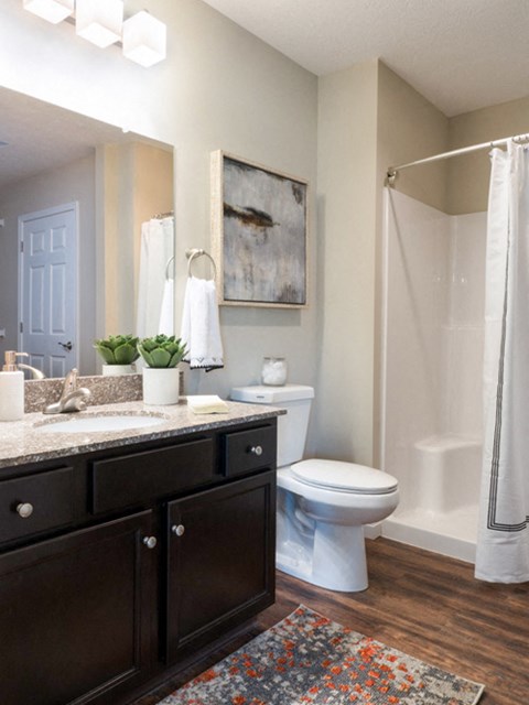 A bathroom with a toilet, sink, and shower.