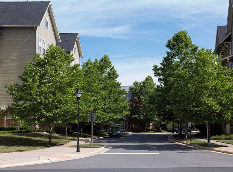 Plenty of parking and tree lined streets at Westwind Farms Apartments in Ashburn, VA