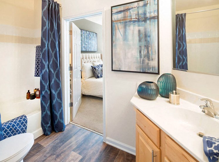Private bathroom attached to the master bedroom at Westwind Farms Apartments in Ashburn, VA