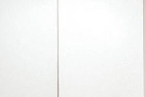 Westwind Farms Apartments Rentals In Ashburn Va