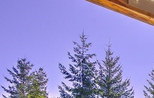 Apartments For Rent In Silverdale Wa Silverdale Ridge