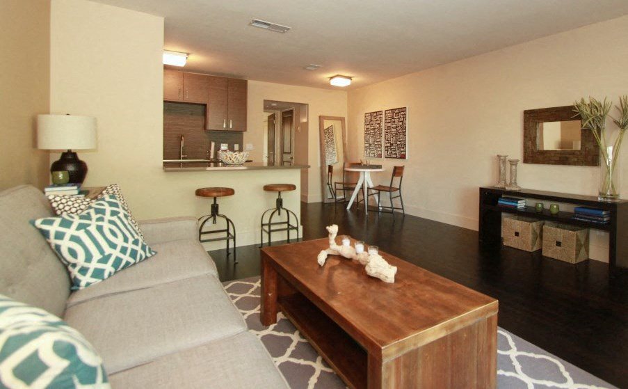 The Collection Lady Bird Lake Apartments