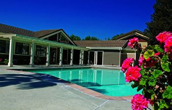 pool at Belmont Apartment Homes in Pittsburg, CA