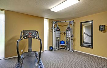 fitness center at Turnleaf Apartments in San Jose, CA