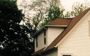 89 Maria St. 2-4 Beds Apartment, Home, Townhouse, Affordable for Rent