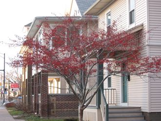 a tree with red leaves in front of a house