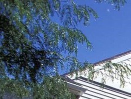 127 First Street 2-3 Beds Apartment, Home, Townhouse, Affordable for Rent