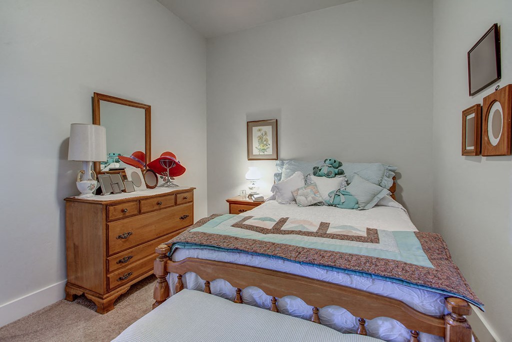 a bedroom with a bed and a dresser