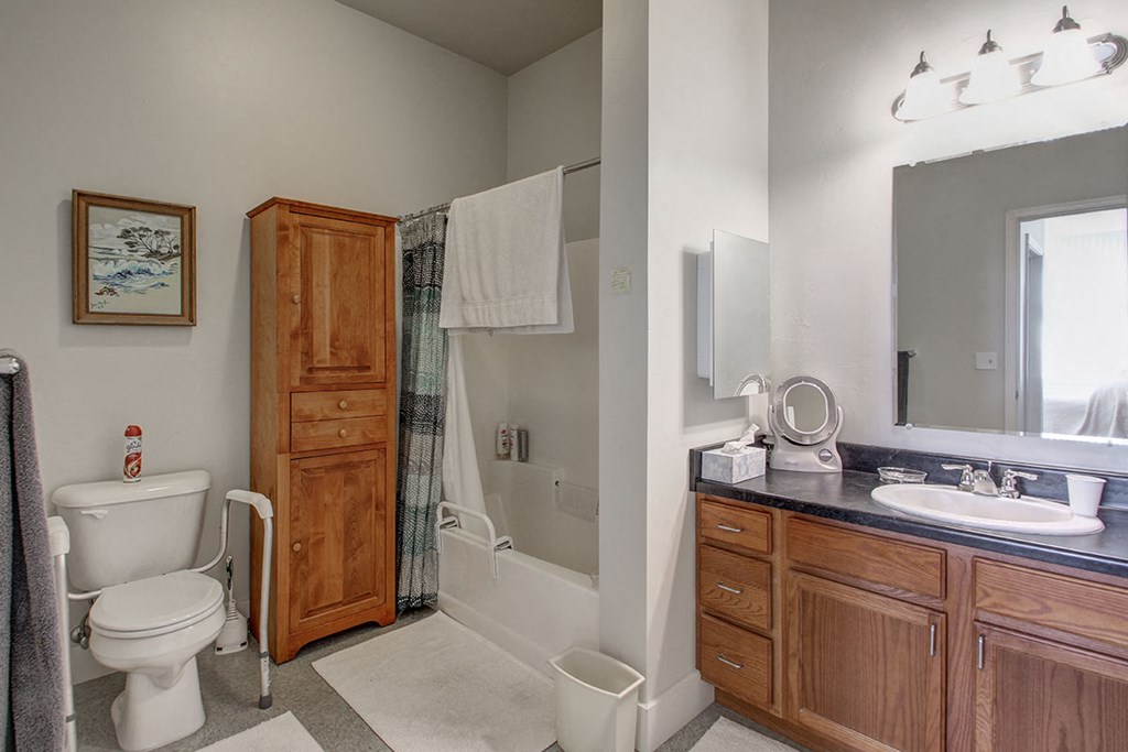 a bathroom with a sink toilet and a shower