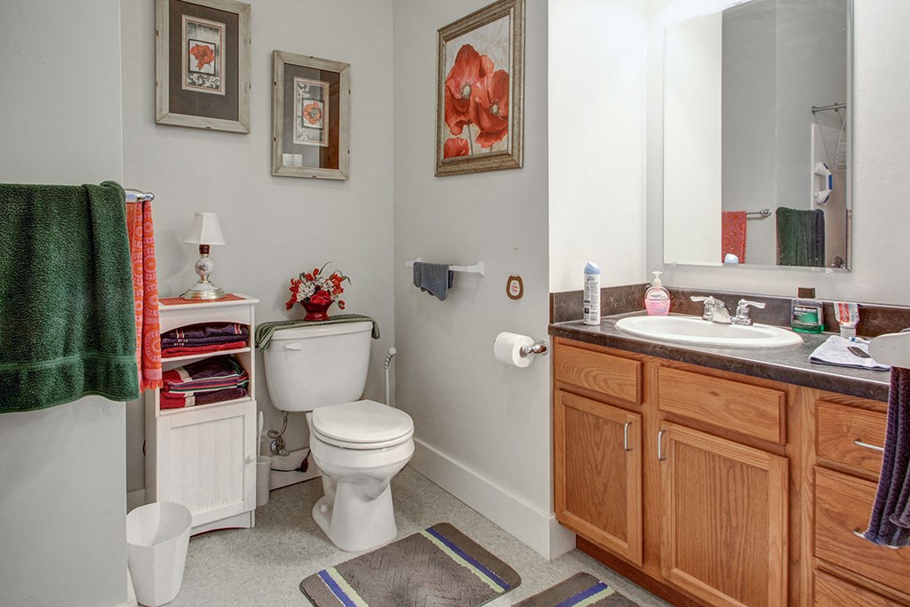 a bathroom with a toilet and a sink and a mirror