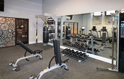 A gym with a variety of equipment including a punching bag, weight machines, and dumbbells.
