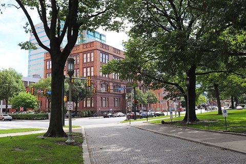 A tree stands on a sidewalk in front of a brick building.