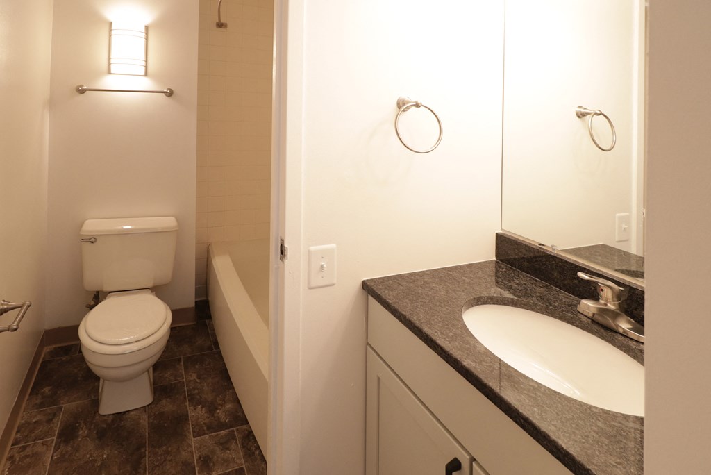 a bathroom with a toilet and a sink and a tub