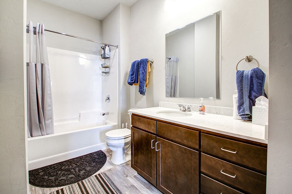 a bathroom with a large mirror and a toilet