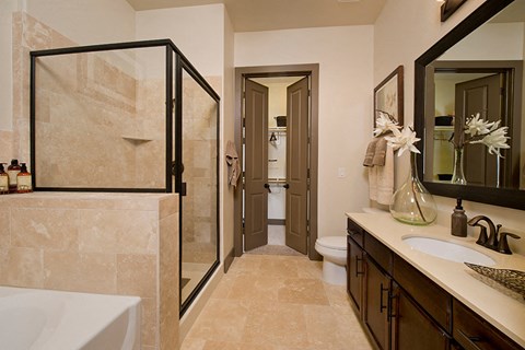 Walk-In Showers w Separate Soaking Tubs