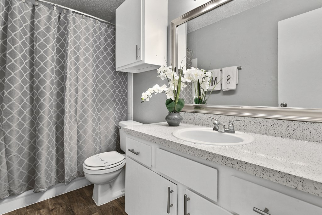 a bathroom with a sink and a toilet and a shower