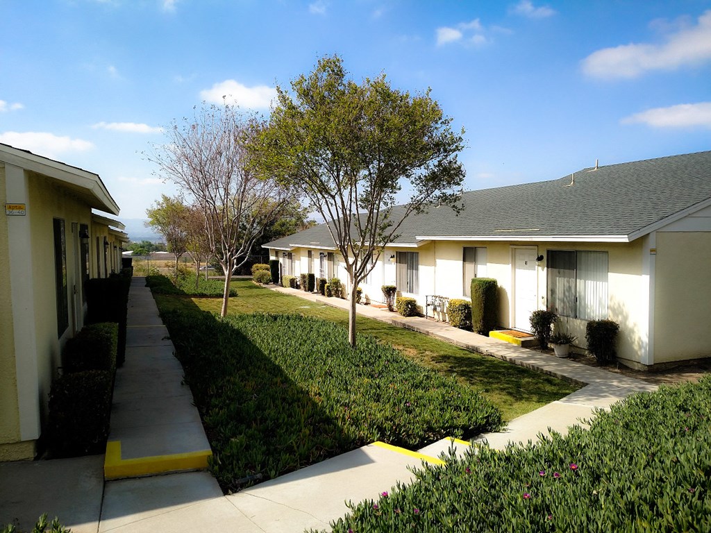 a row of white houses with a sidewalk and grass