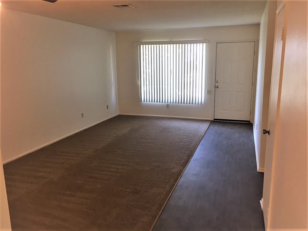 an empty living room with a carpet and a window