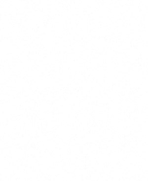 B2