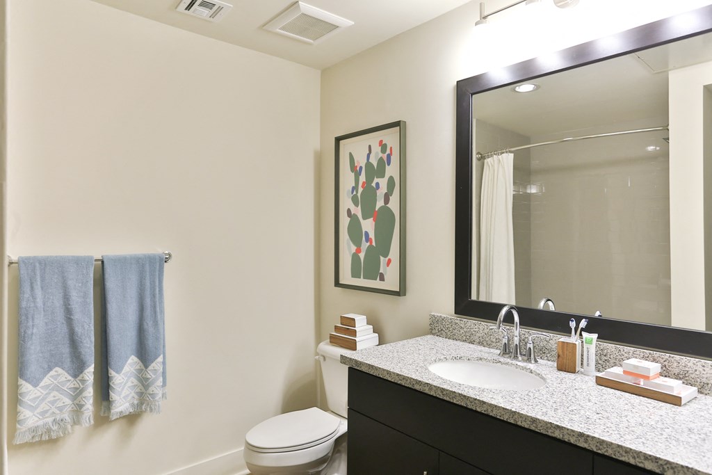 Bathroom with Custom Vanity Lightning at Fashion Center, Chandler, AZ 85226