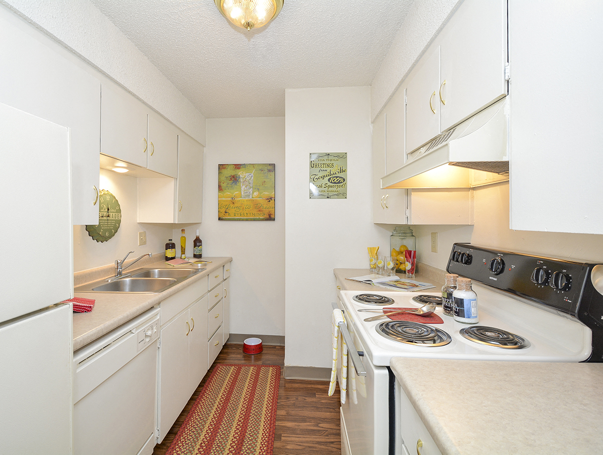 Classic Apartment Kitchen Style