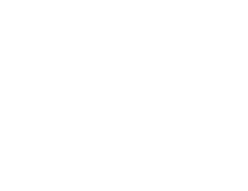The Overlook logo