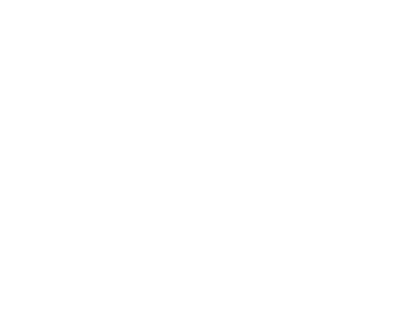 Towne Park logo