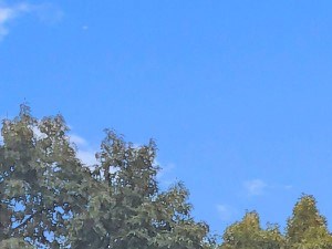 Apartments In Richmond Va Crestwood At Libbie