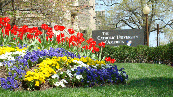 a bed of flowers in front of the canterbury university sign