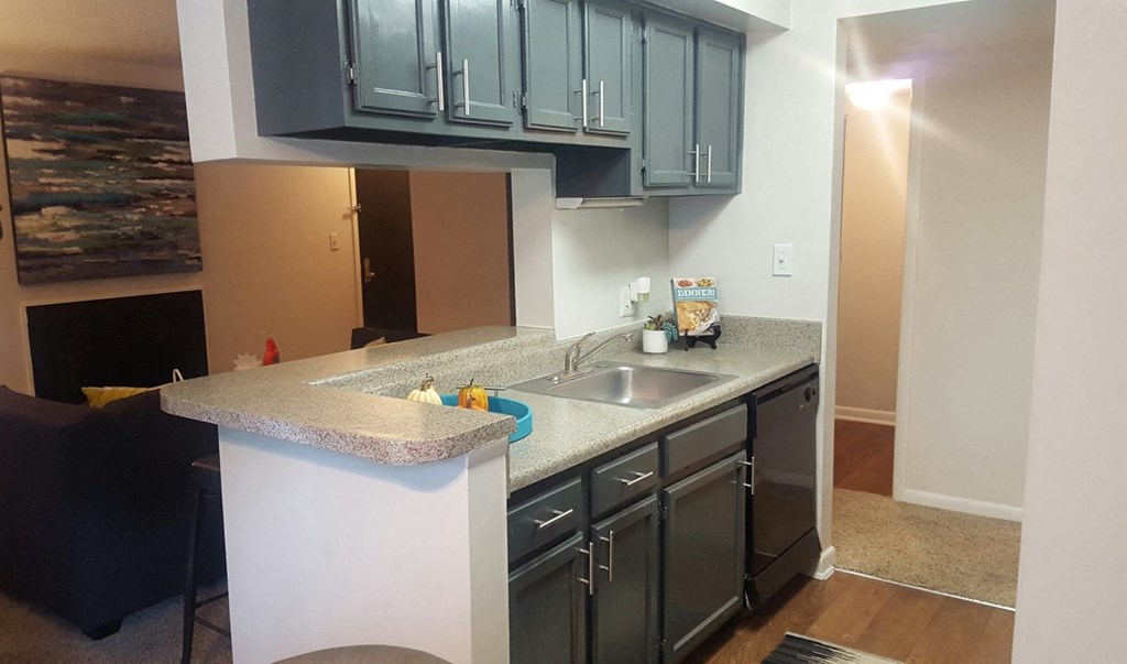 a kitchen with a counter top and a sink