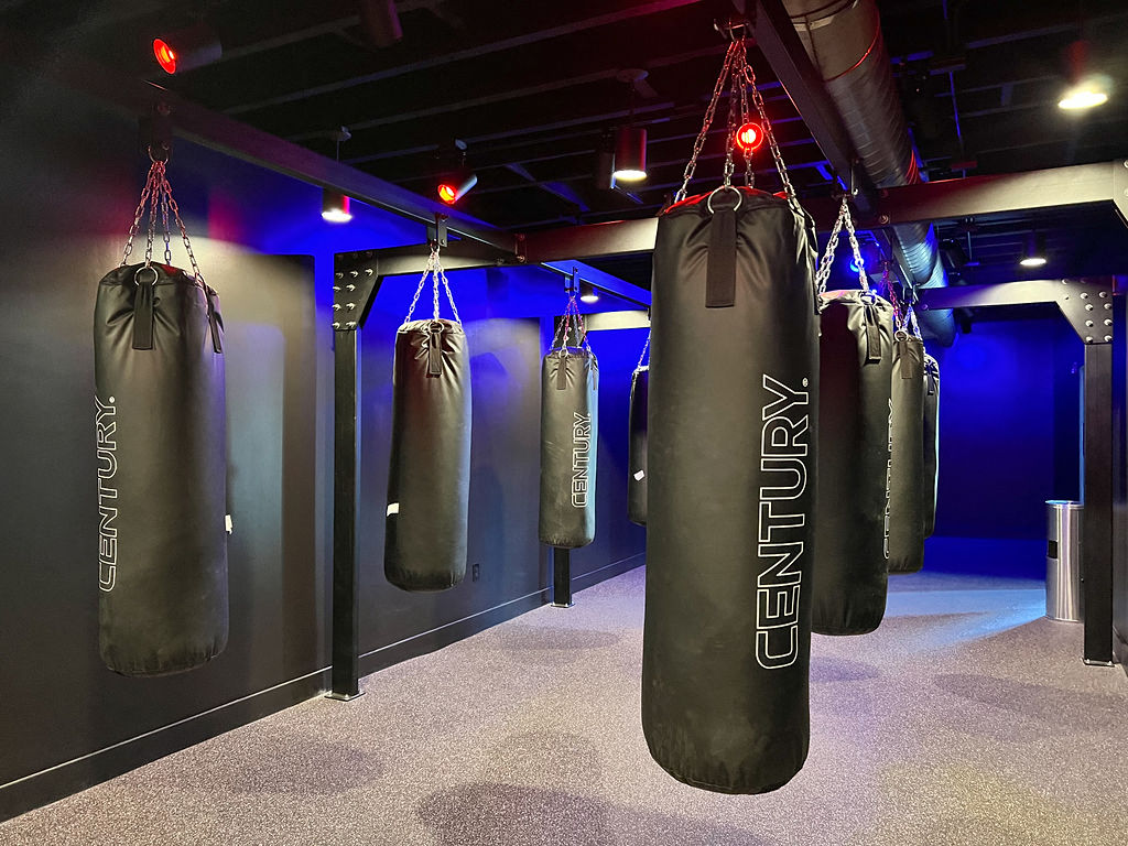 four punching bags hanging from the ceiling in a room