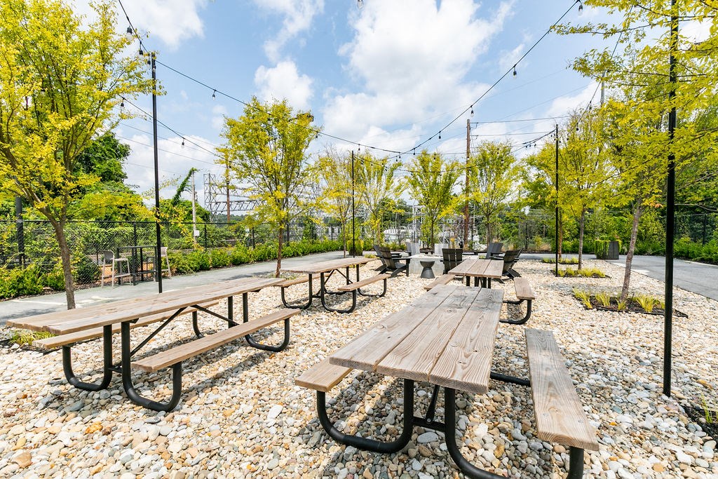 a group of benches in a park with trees