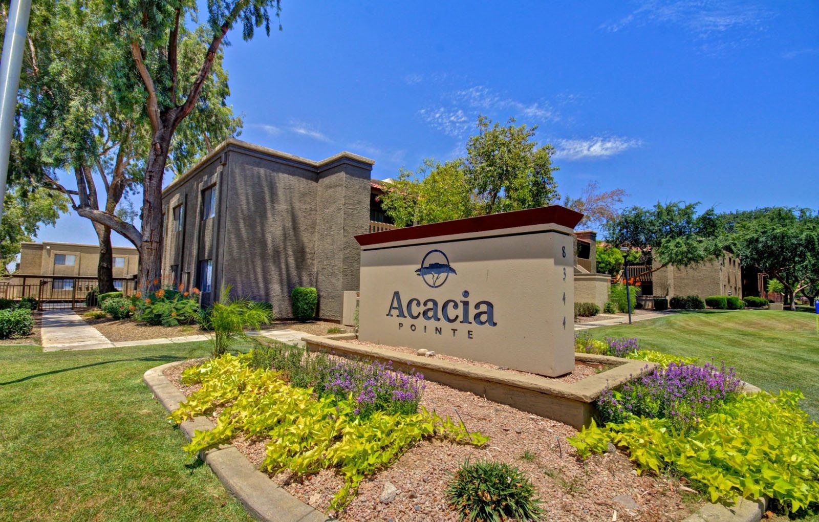 Acacia Pointe Apartments Acacia Pointe Apartments