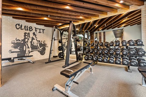 a gym with weights and a bench in the center of it