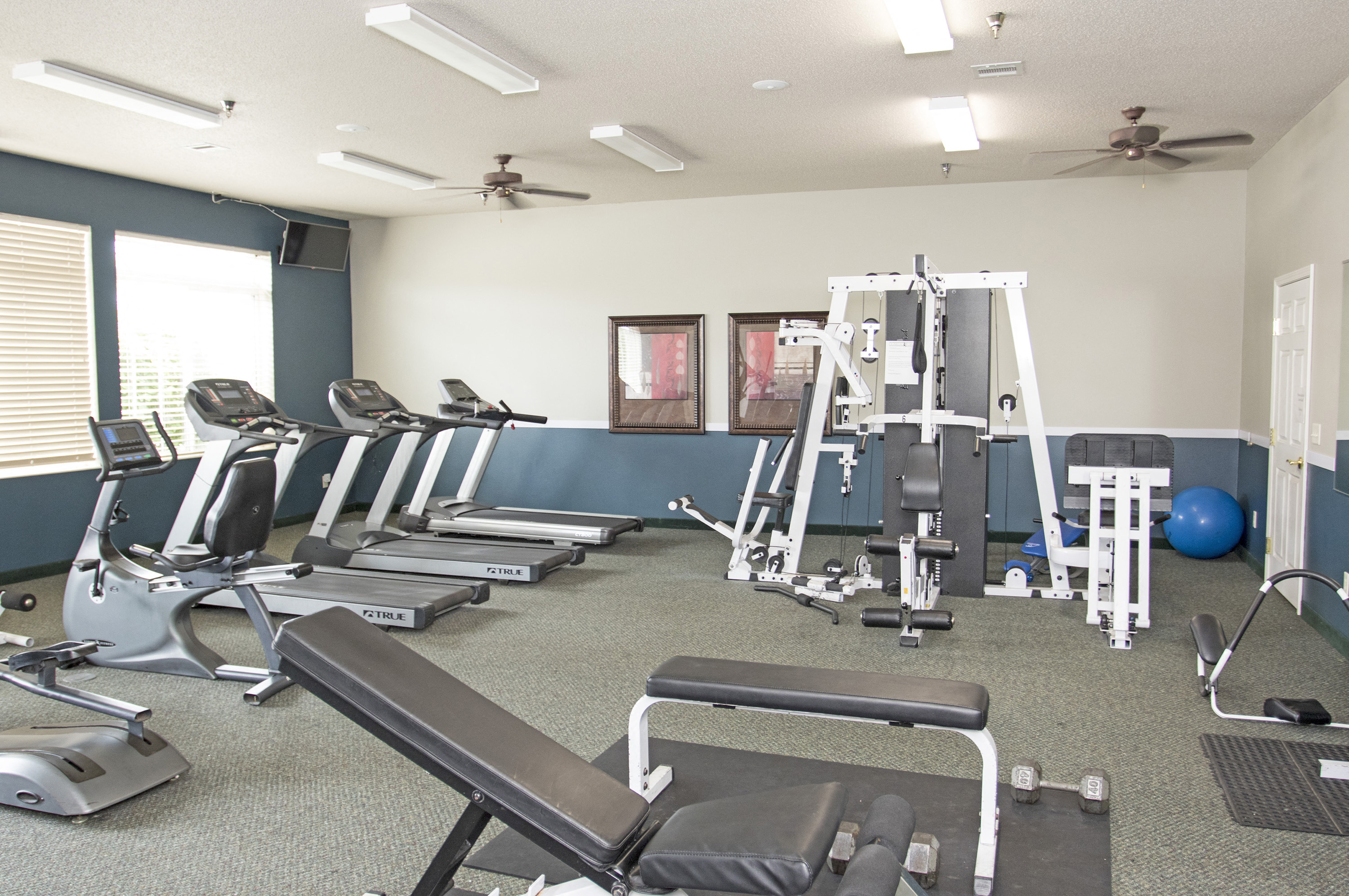 a gym with cardio equipment and weights on the floor