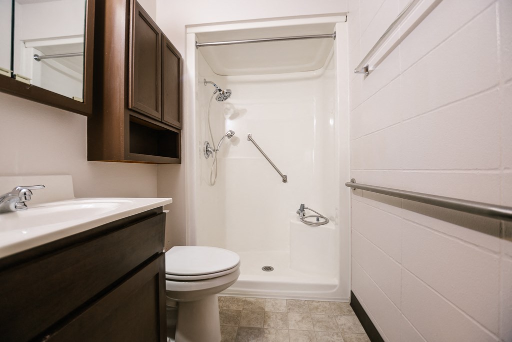 shower with hand rails