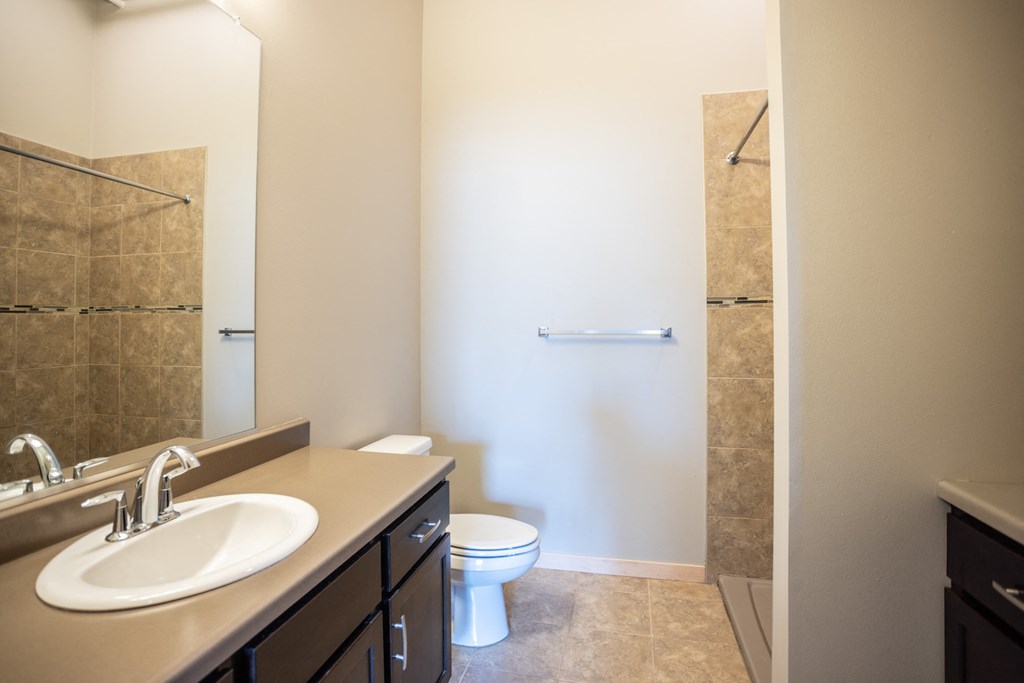 a bathroom with a sink and a toilet and a shower