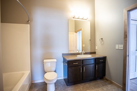 a bathroom with a toilet sink and mirror and a bath tub
