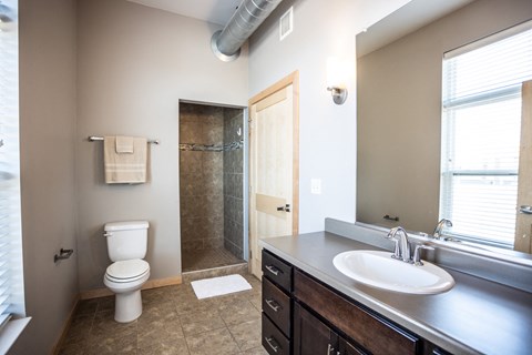 a bathroom with a sink toilet and a shower