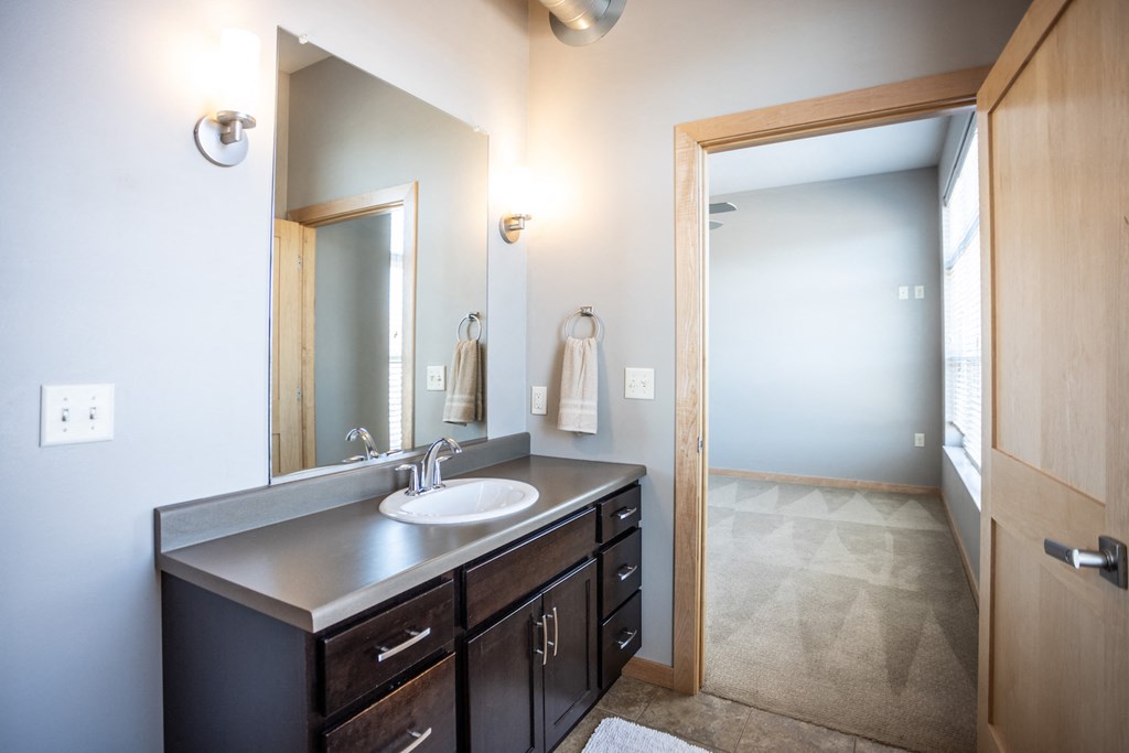 a bathroom with a sink and a mirror and a shower