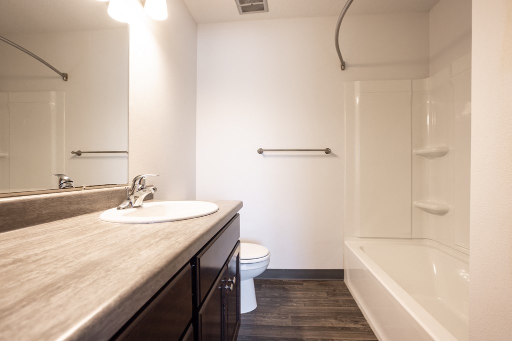 a bathroom with a sink and a shower and a toilet