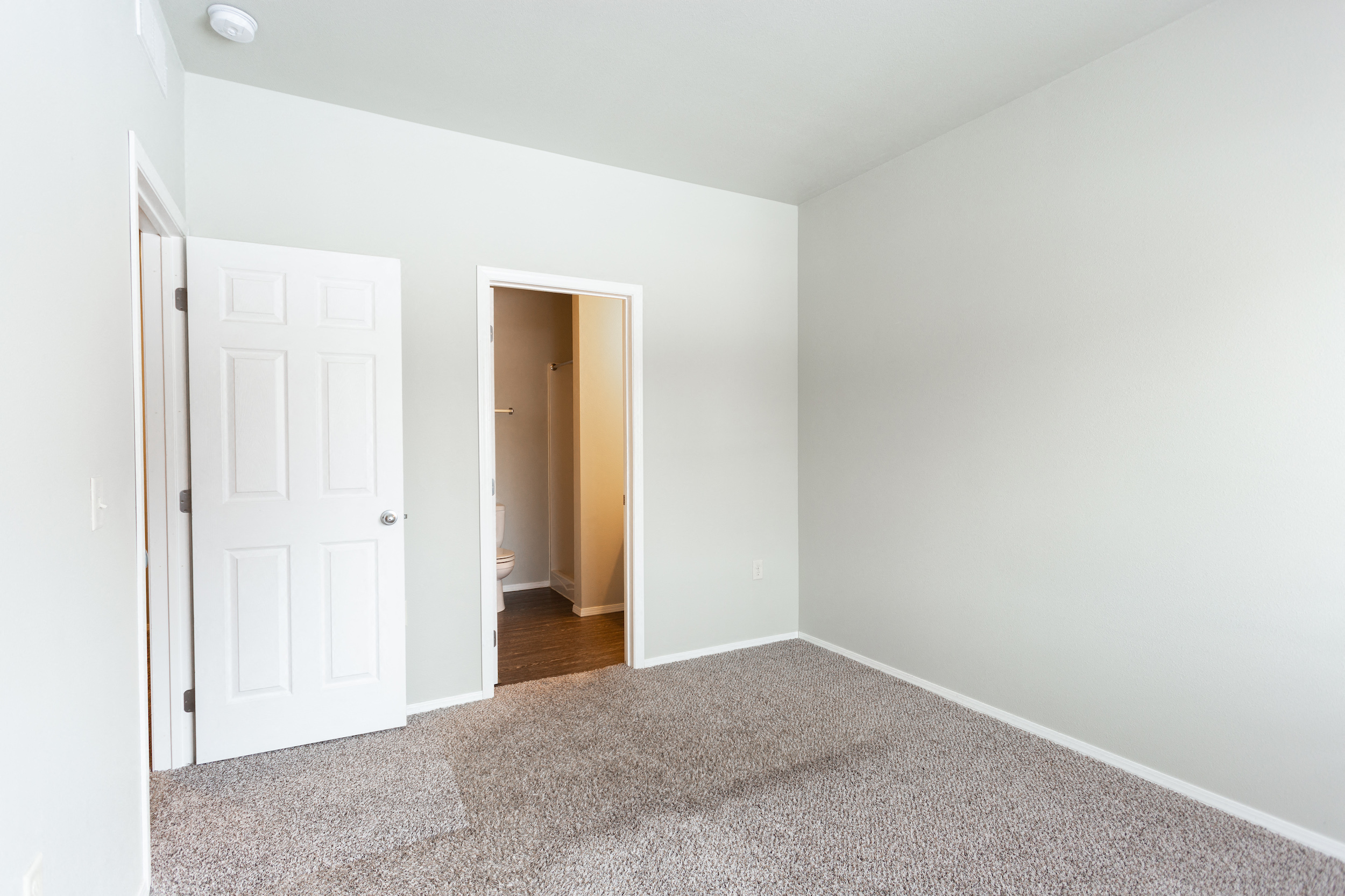 an empty room with a white door and carpet