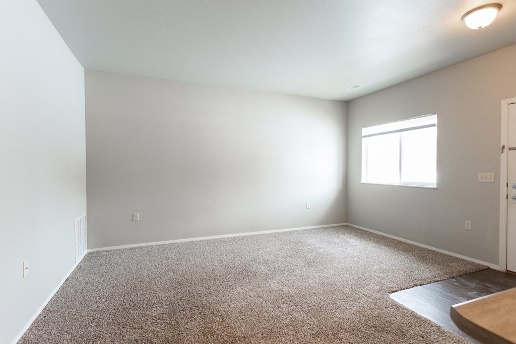 an empty room with carpet and a window