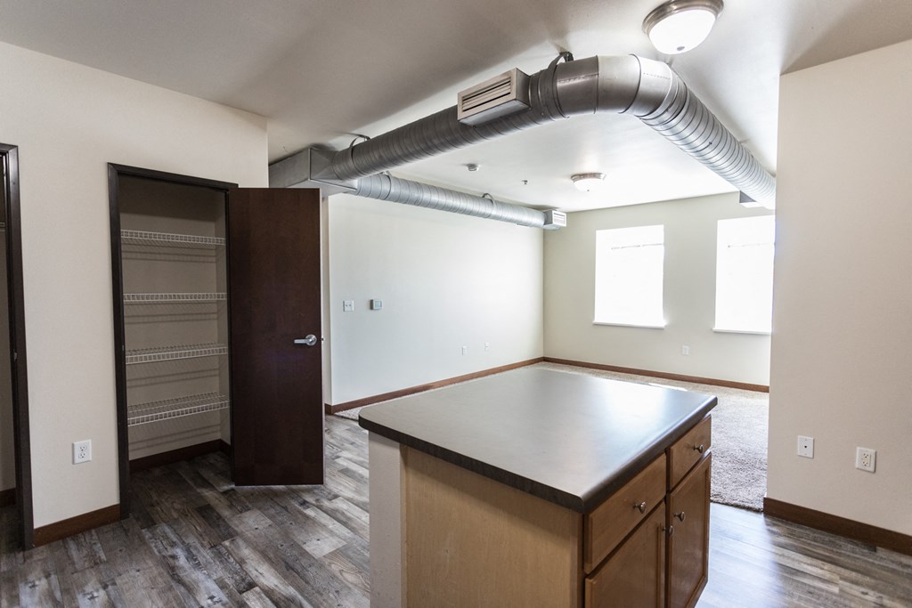 kitchen and living room