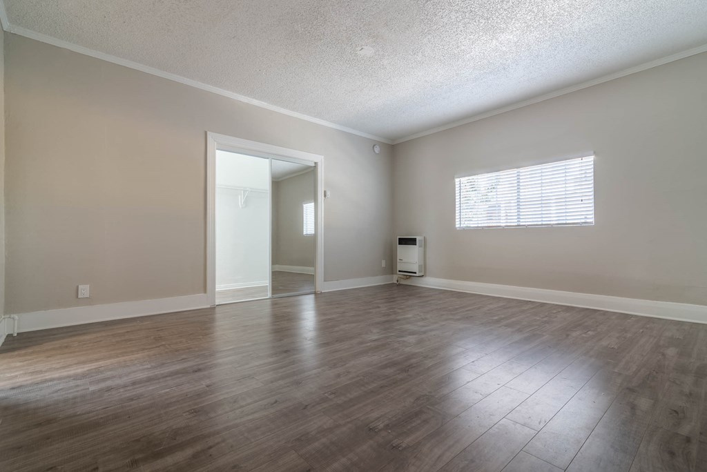 Large bedroom with mirror closet
