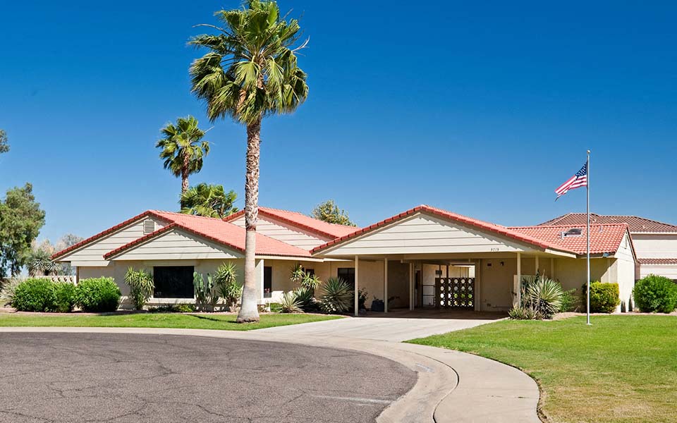 a house with a palm tree and an flag