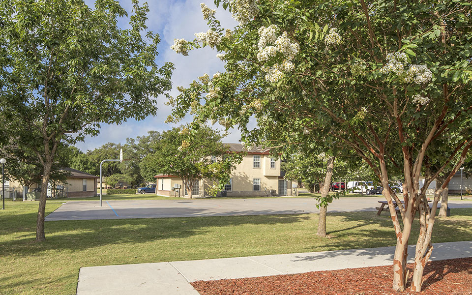 an empty street with trees and houses in the background