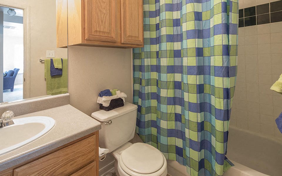 a bathroom with a shower curtain and a toilet and a sink