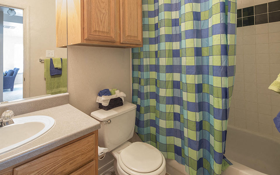 a bathroom with a shower curtain and a toilet and a sink