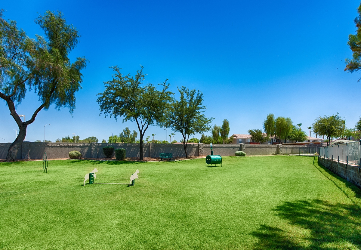 Dog Park